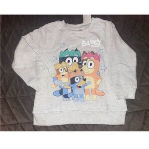 4T Toddler Bluey & Family Sweater